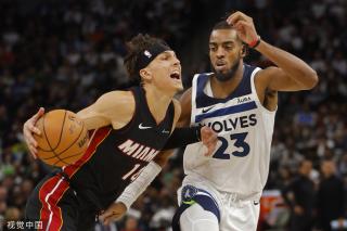 术适应性 术适应性